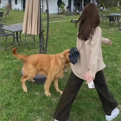 惊世巨鳄